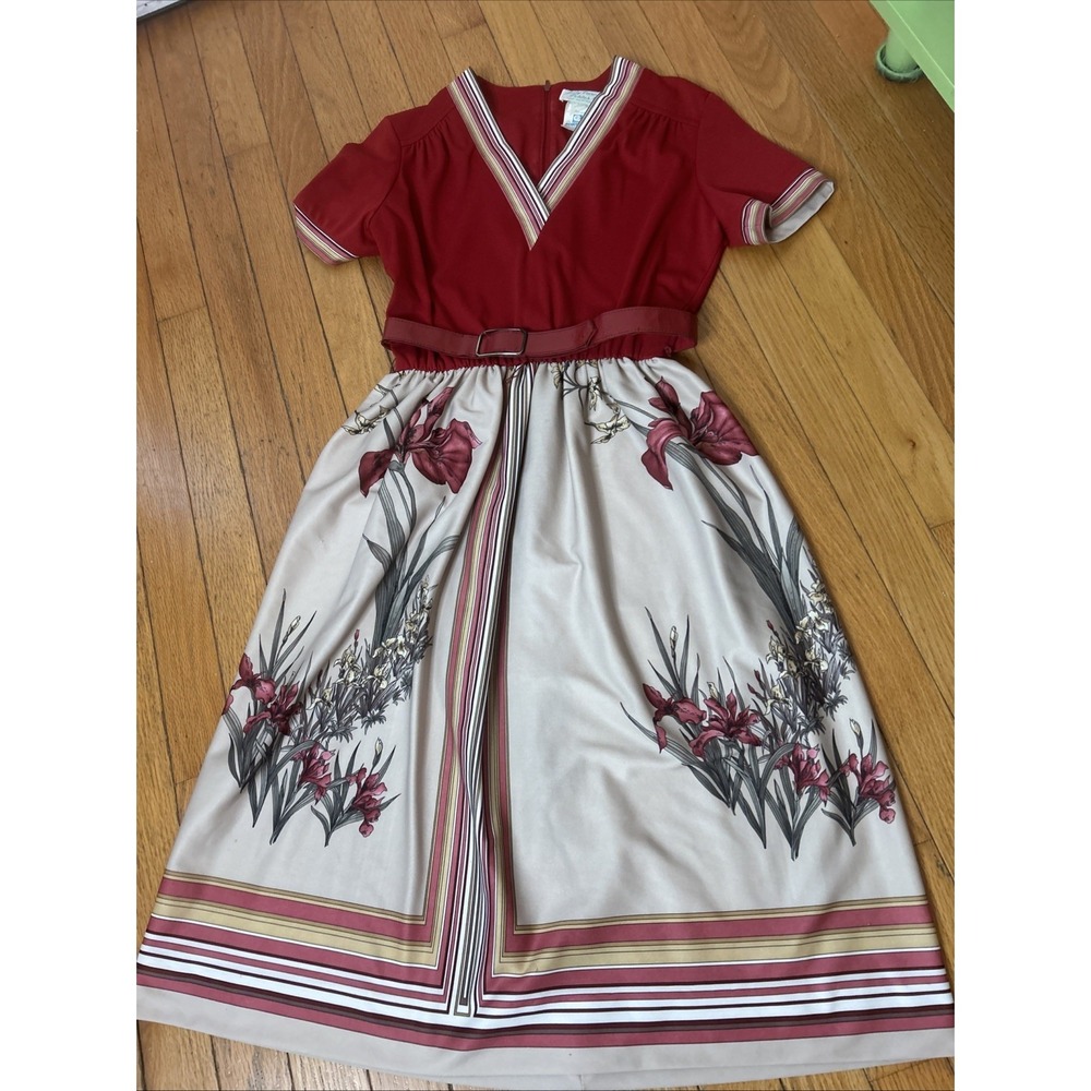 Vintage 70s Petite Small Dress V Neck Striped Iris Floral Belted Zippered